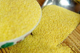 濟南十大特產(chǎn)推薦 值得購買的精選伴手禮