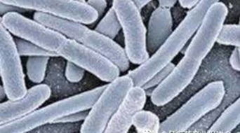 關于深入開展2016年全國安全用藥月活動的通知